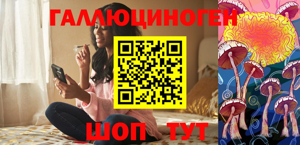Псилоцибиновые грибы GOLDEN TEACHER  Вход с VPN  Псилоцибиновые грибы ЛСД  Благодарный 