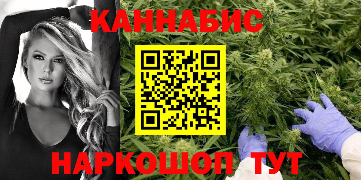 Бошки Шишки планчик  МАРИХУАНА индика  Благодарный  Конопля тримм  Вход с VPN 